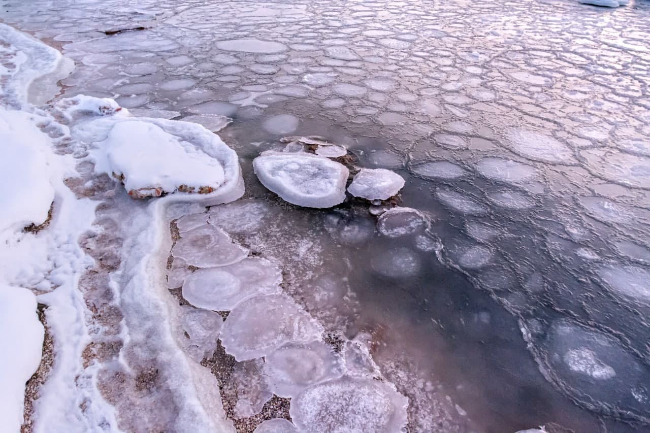 Бердянск: в Азовском море сфотографировали замерзших «медуз» (ФОТО, ВИДЕО)