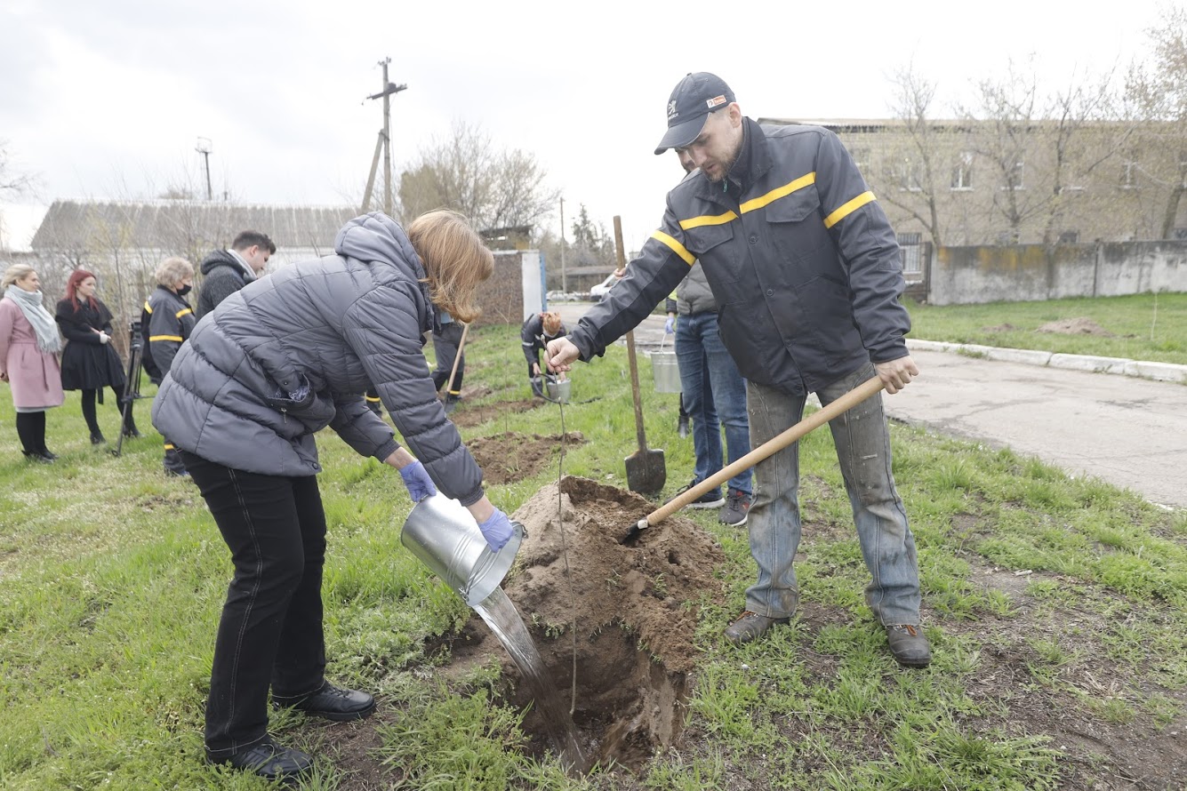 Аллея кленов и рябин: еще в одной части города появилась зеленая зона
