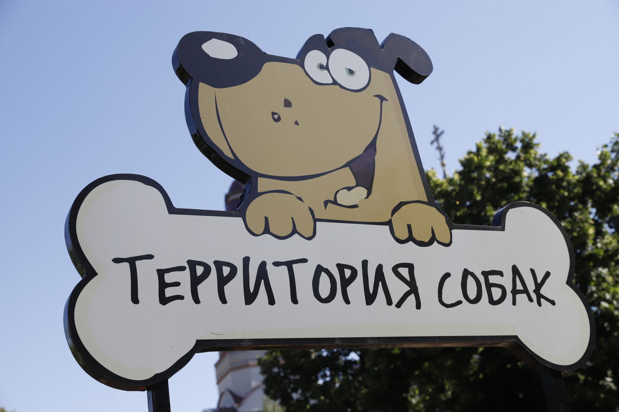 В Днепре появятся новые современные площадки для выгула собак (ФОТО)