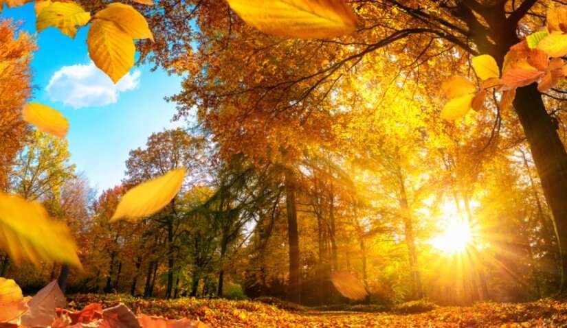 Виплати постраждалим через підрив Каховської ГЕС та посилення мобілізації: що зміниться для українців з 1 вересня