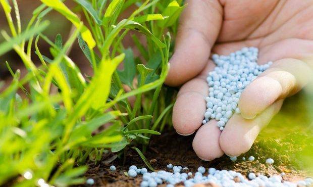 Дніпровський завод міндобрив запустив виробництво після простою