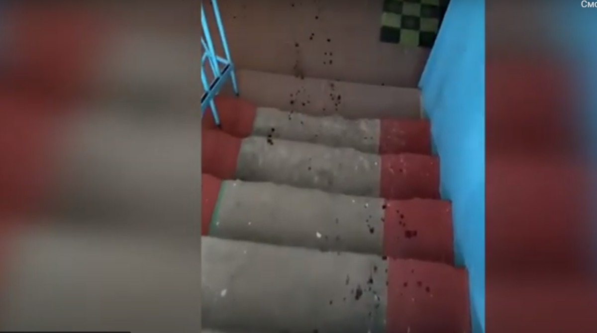 З’явилося відео з місця стрілянини у житловому будинку Дніпра, де був поранений та вбитий