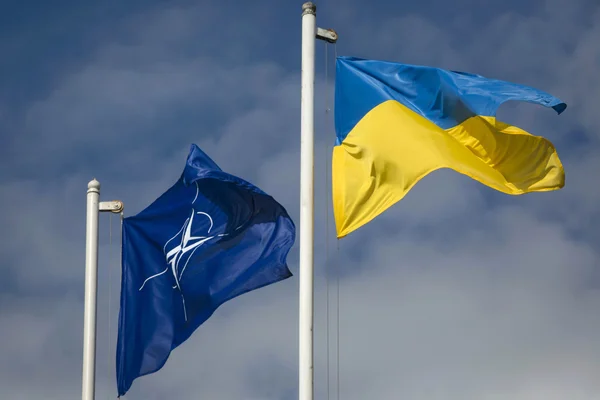 “Україна подає заявку на вступ до НАТО у прискореному порядку” – Зеленський