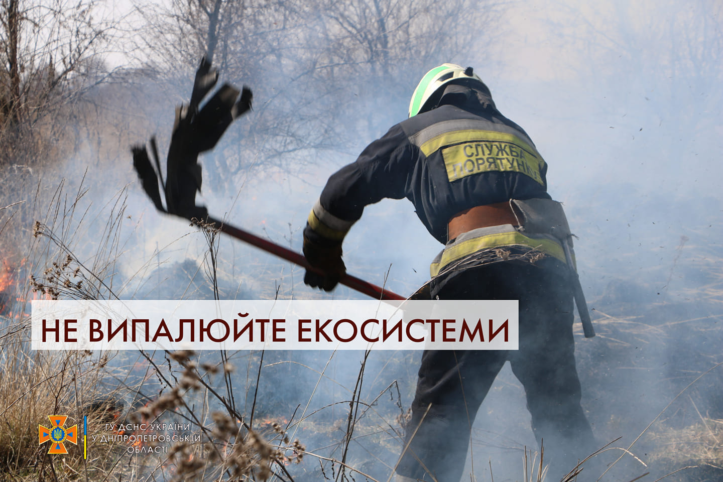 Ночной пожар в Днепре: спасатели предупреждают о последствиях для экосистемы
