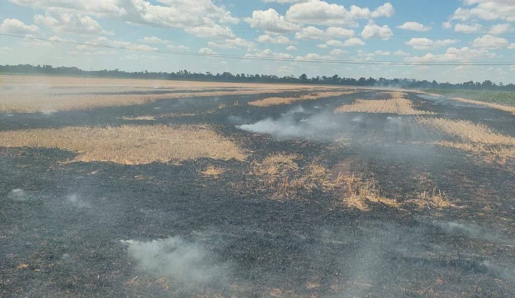 Под Кривым Рогом враг огнем из “Ураганов” поджег поле. Фото