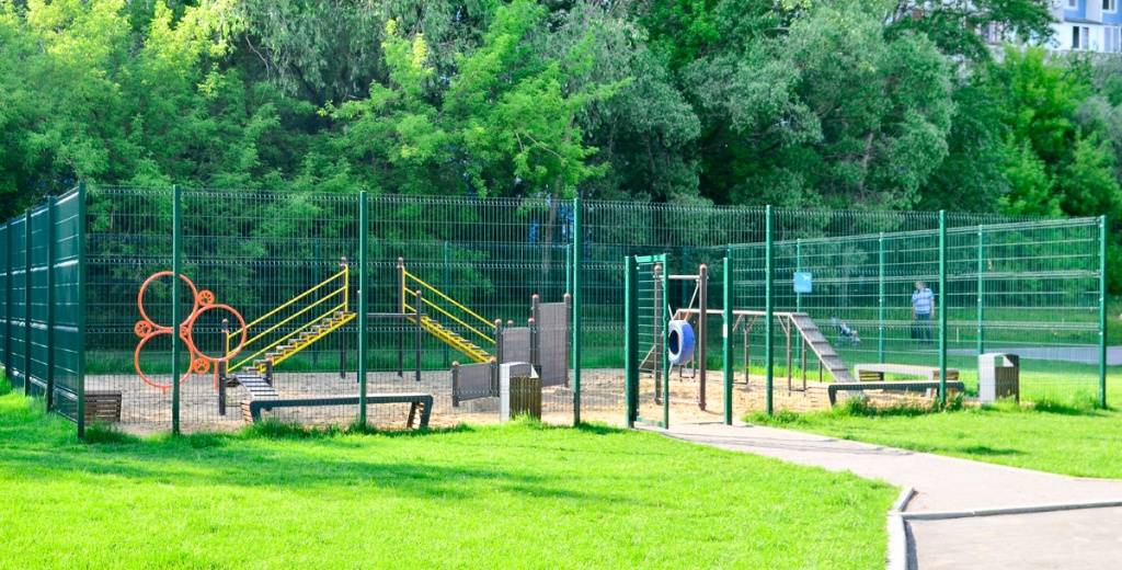 В Днепре появится официальная территория для выгула собак: фото