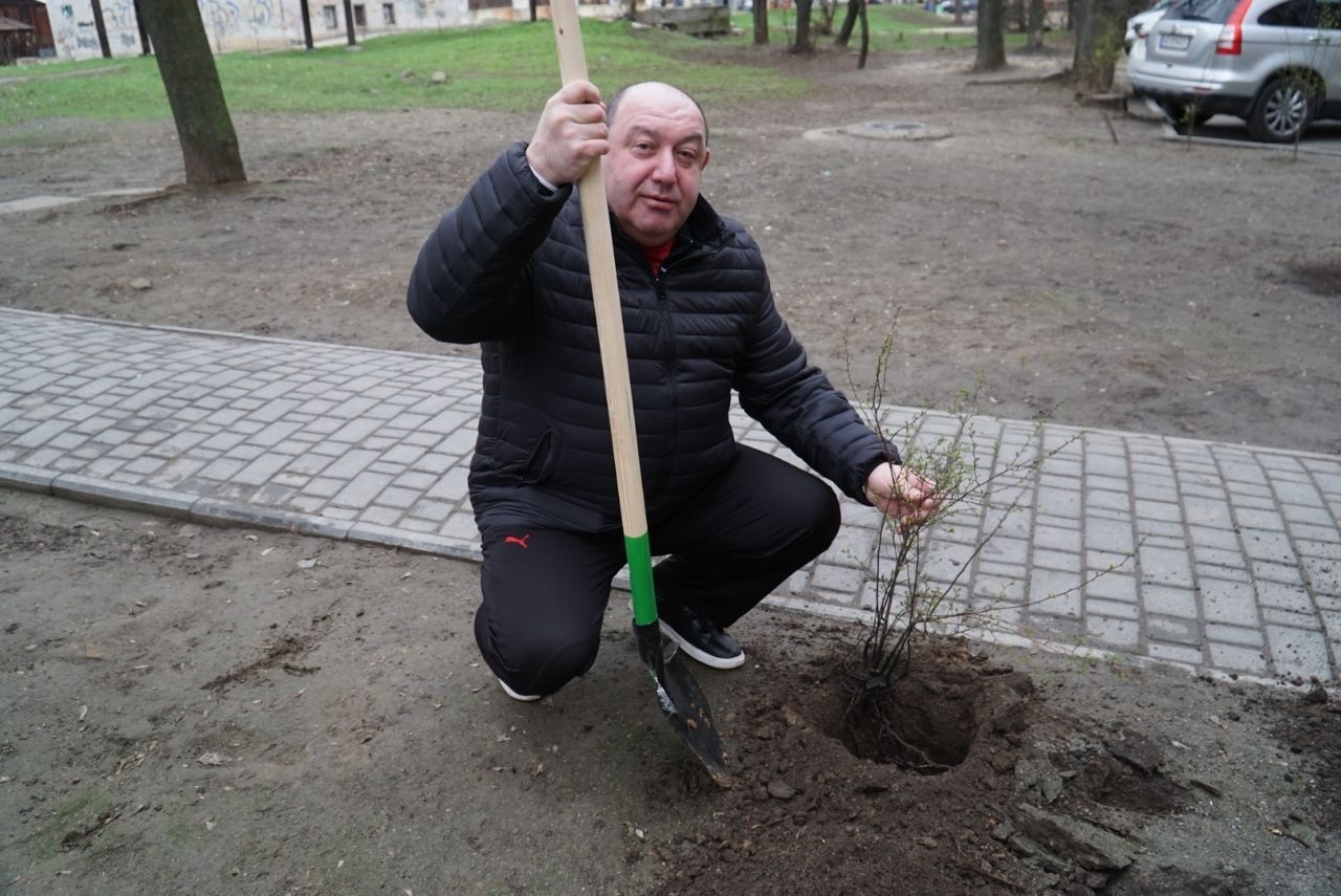 За выходные практически во всех районах Днепра высадили молодые деревья и кусты (ФОТО)