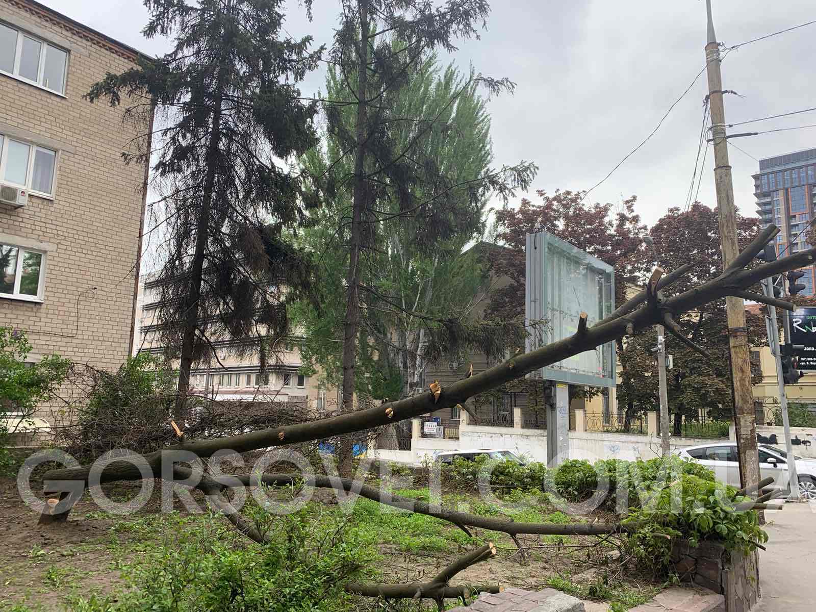 Циклон будет выкручивать: в Днепре и области сильно похолодает