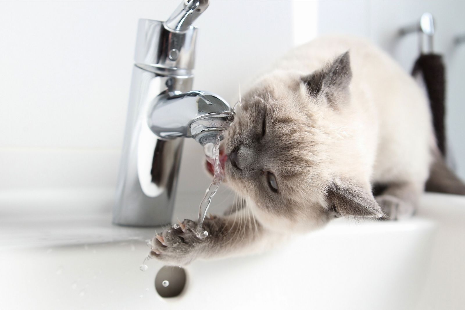 В Днепре аварийное отключение воды всей улице (АДРЕС)