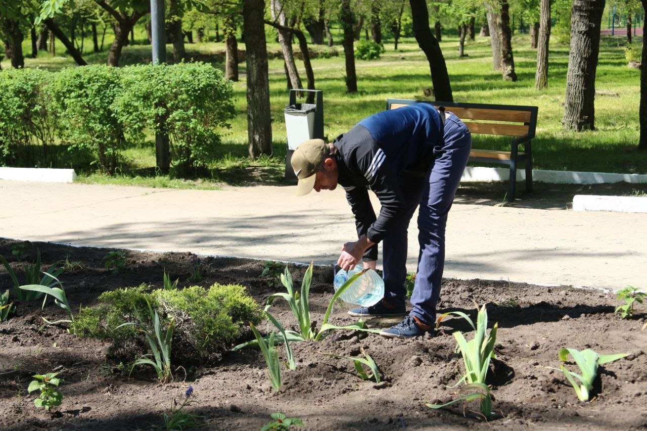 У Дніпрі 15 переселенцям запропонували роботу в департаменті парків та рекреацій (відео)