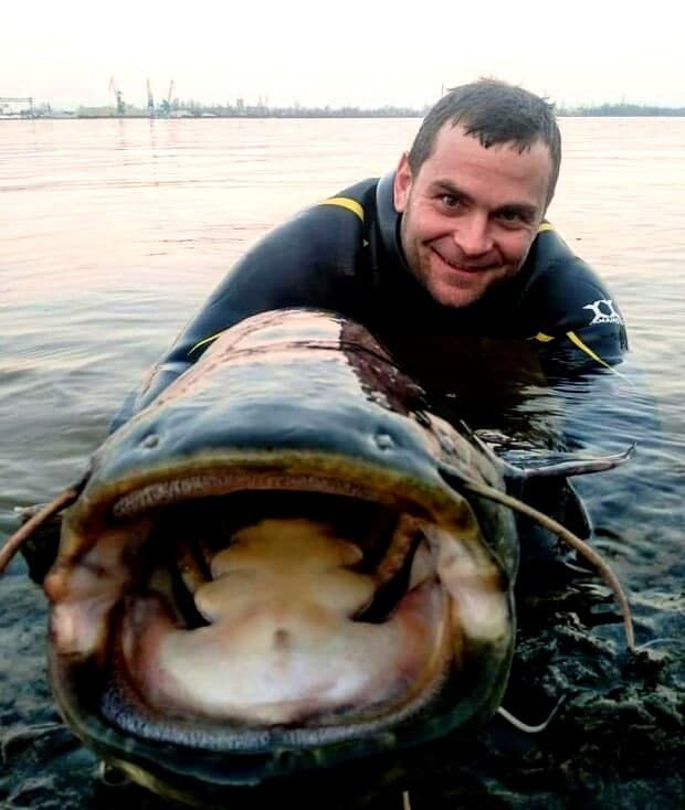 В Днепре рыбак поймал огромного сома голыми руками
