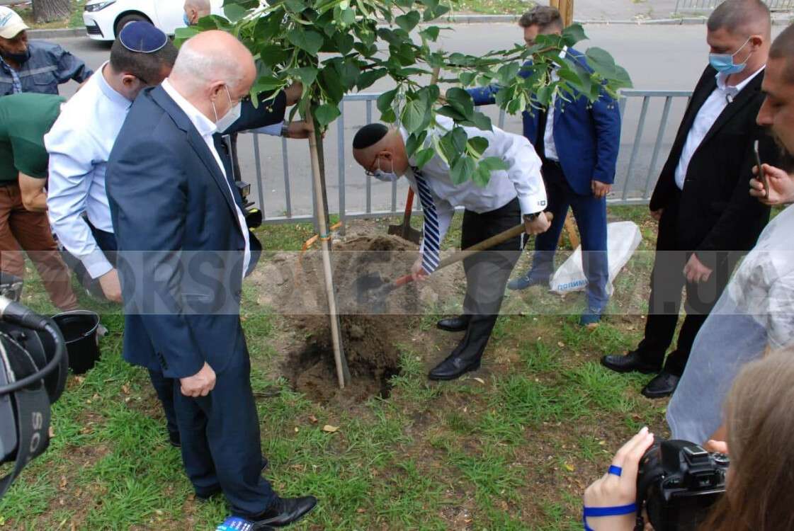Аллея дипломатов в Днепре теперь на балансе коммунального предприятия горсовета