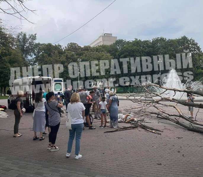 Из-за непогоды в Днепре на мужчину упало дерево: в «Горзеленстрое» дали официальный комментарий (ВИДЕО)