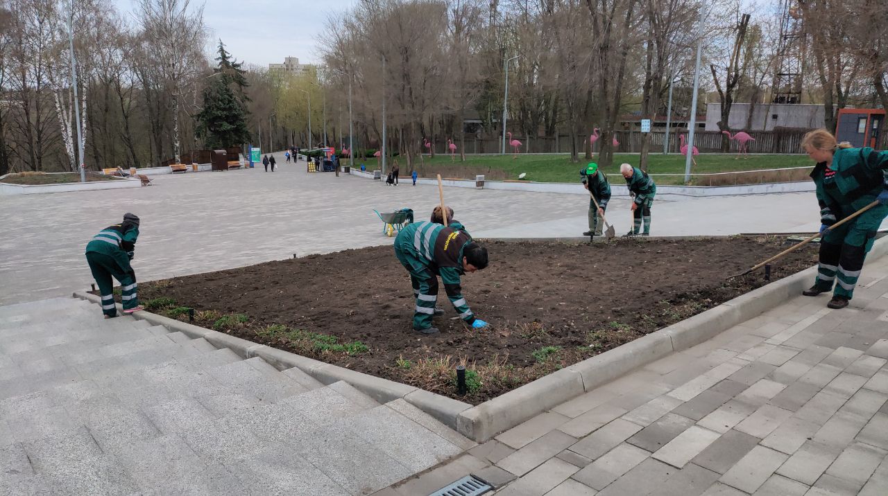 В одном из парков Днепра высадили чернобрывцы на площади 600 м2