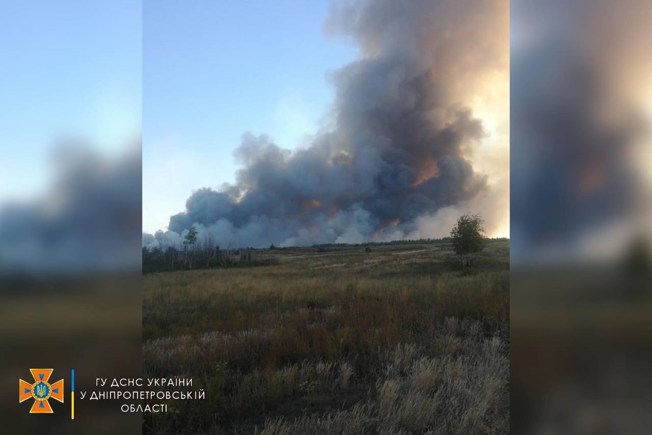 Дим видно аж у Дніпро: у Новомосковському районі горить ліс (фото)