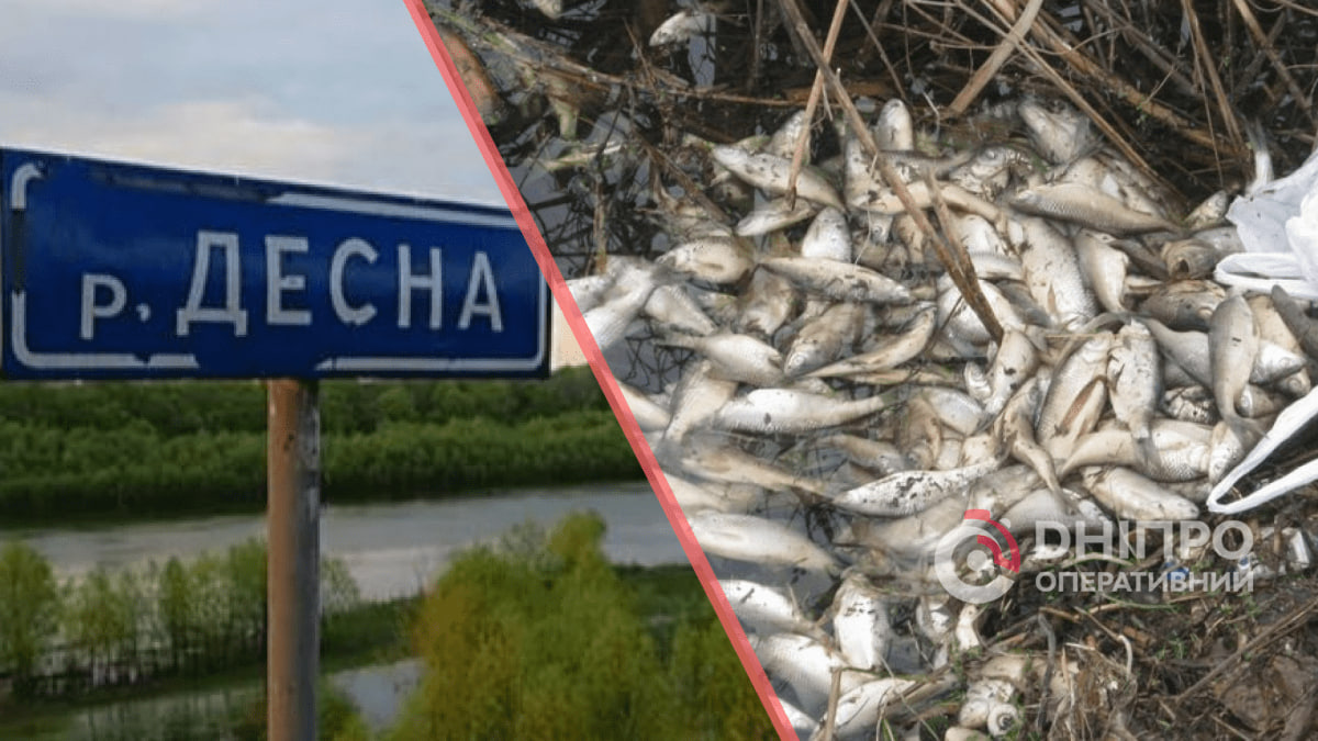Забрудення у річці Десна: чи можна пити воду з-під кранів у Дніпрі
