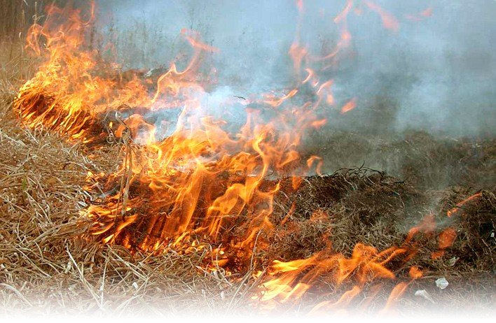 На Дніпропетровщині оголошено попередження про метеорологічне явище