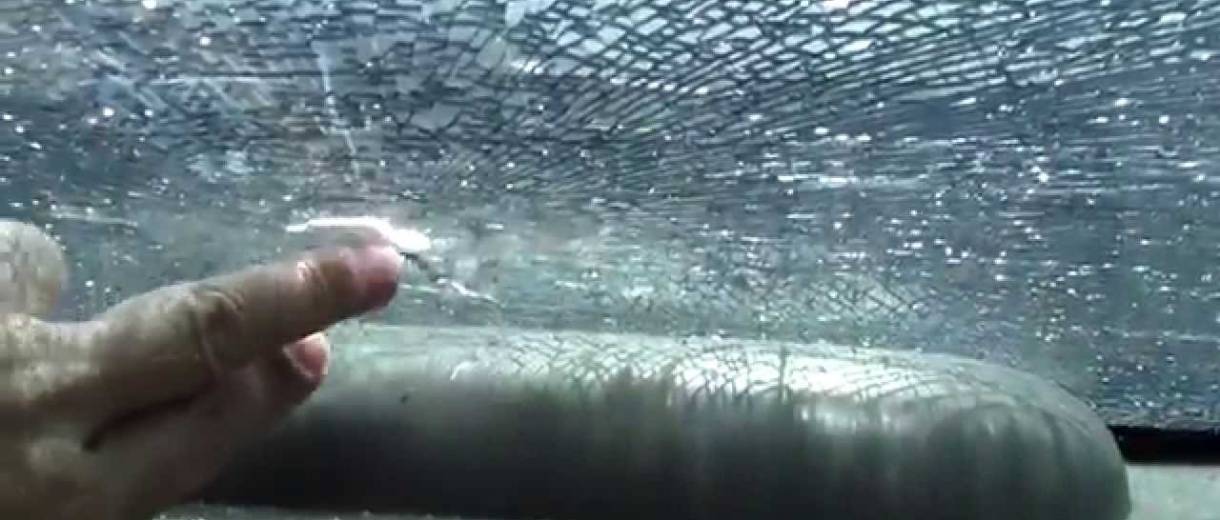 В Днепре объявился охотник за автомобильными стеклами