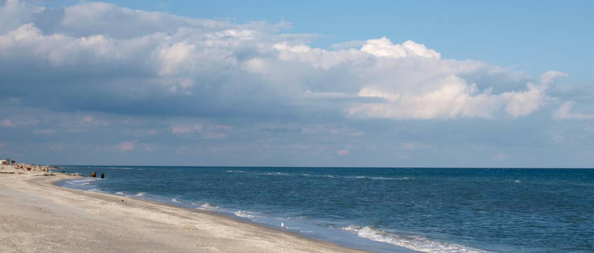 Майские праздники 2020: можно ли ехать на море?