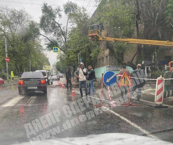 В Днепре приостановлено движение троллейбусов из-за упавшего дерева