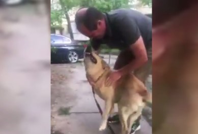 Чудесная история воссоединения: спустя 6 лет собака вернулась к хозяину (ВИДЕО)