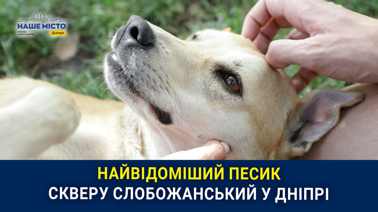 Будьте осторожны: в Днепре нашли россыпи белого порошка – смертельной отравы для животных и детей