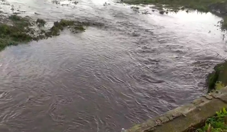 Погибло все из-за воды: на Днепропетровщине затопило трассу, поля и села (ВИДЕО)