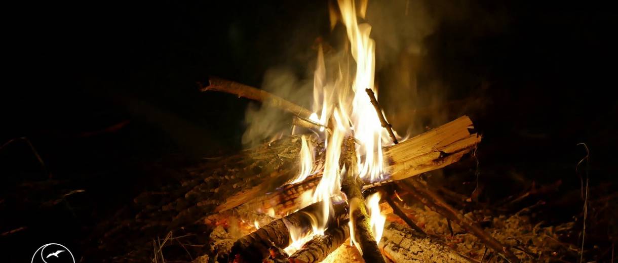 За разжигание костров в Днепре грозит админпротокол