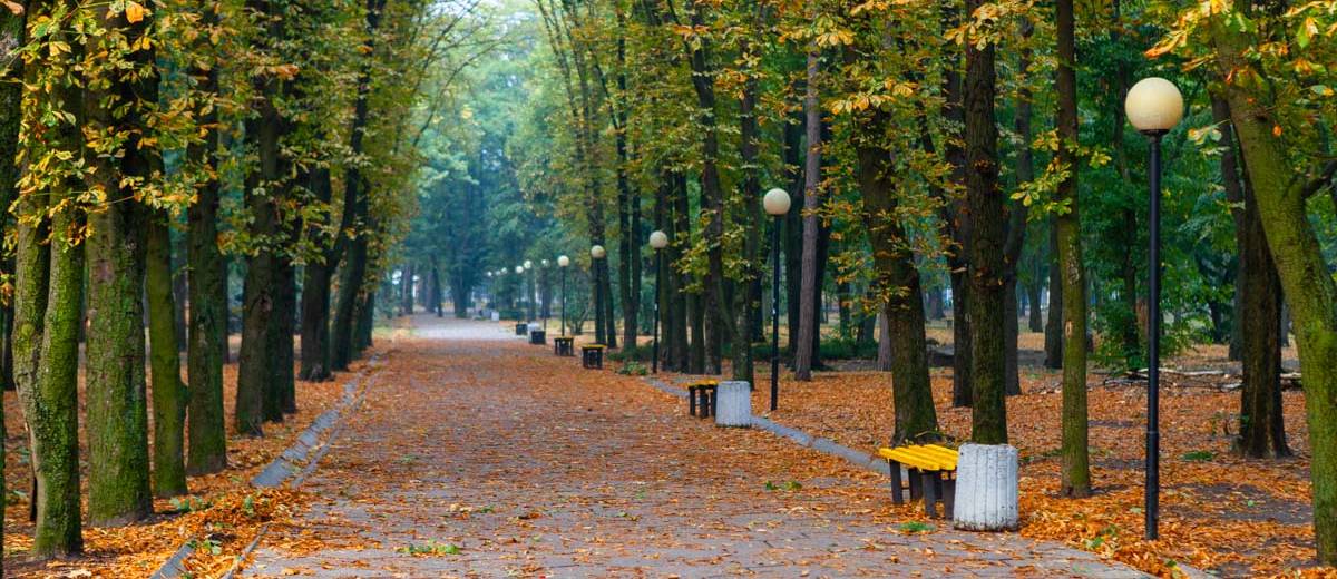 Длинные выходные в Днепре: куда пойти