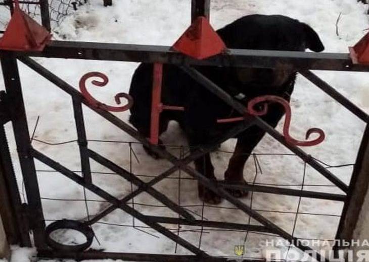 Домашняя собака насмерть загрызла малыша