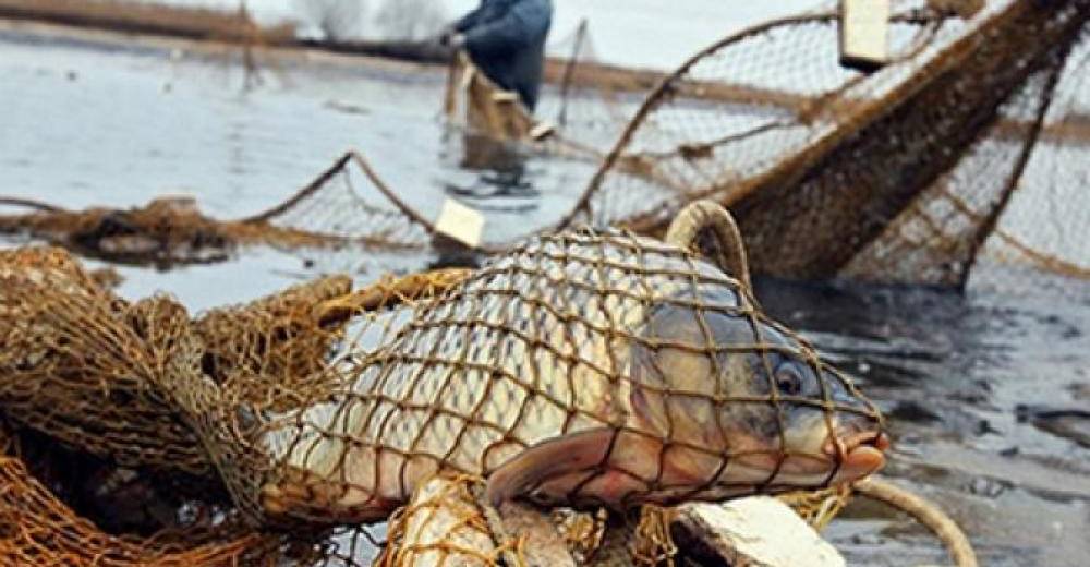 У Дніпрі спіймали нічного рибалку-браконьєра