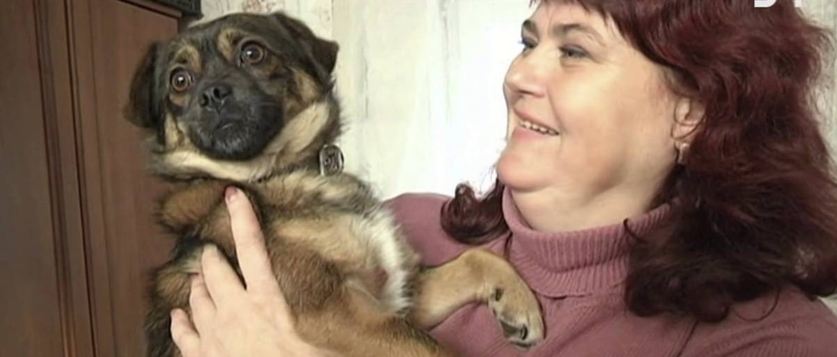 Привязали к дорожному знаку и бросили умирать
