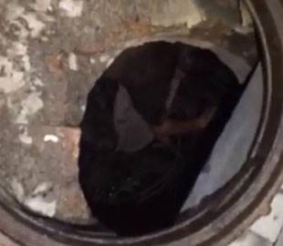 В Днепре вора поймали на горячем