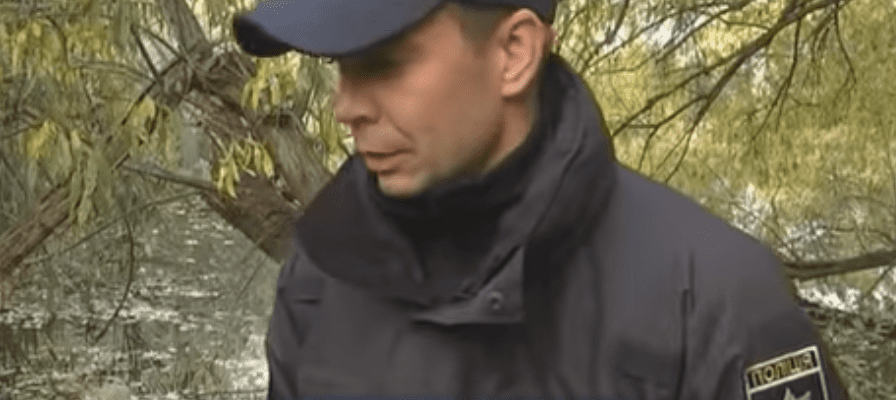 Стая собак загрызла женщину (ВИДЕО)