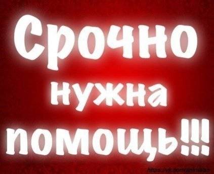 В Днепропетровской области мальчику необходима пересадка сердца: Близкие просят о помощи