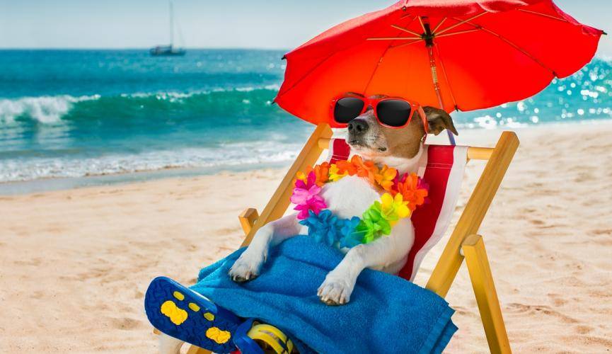 Когда в Днепре ждать летнюю жару