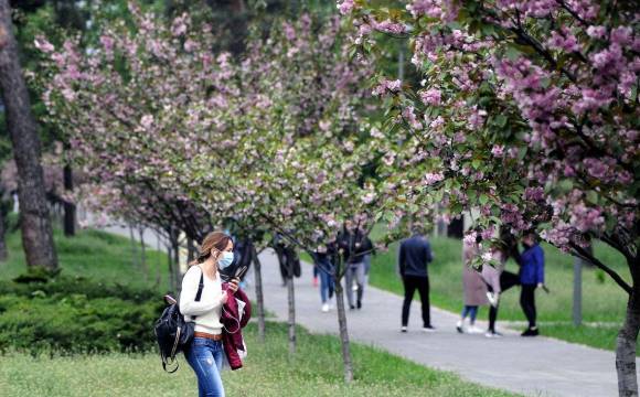 Кабмін дозволив роботу магазинів у ТРЦ, літніх майданчиків, та інше: повний список у інфографіці