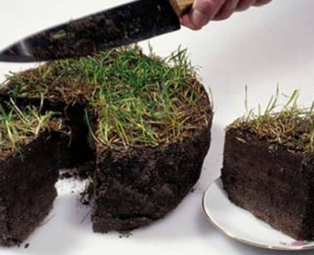 Как стать миллионером: семья Мишаловых украла у днепрян более 30 млн. грн.