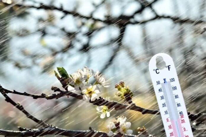 В Днепре ночью сильно похолодает: синоптики прогнозируют заморозки