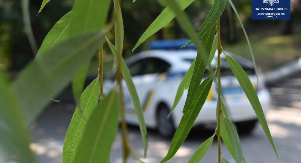В Днепре мужчина предложил патрульным “покурить коноплю” и обиделся на отказ