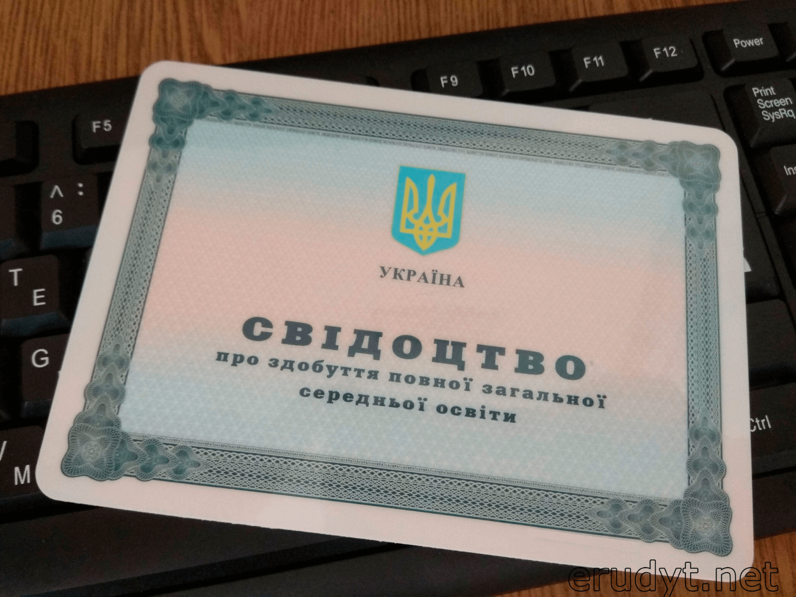 Освіта на відстані: що дає і як визнається атестат з онлайн-школи?