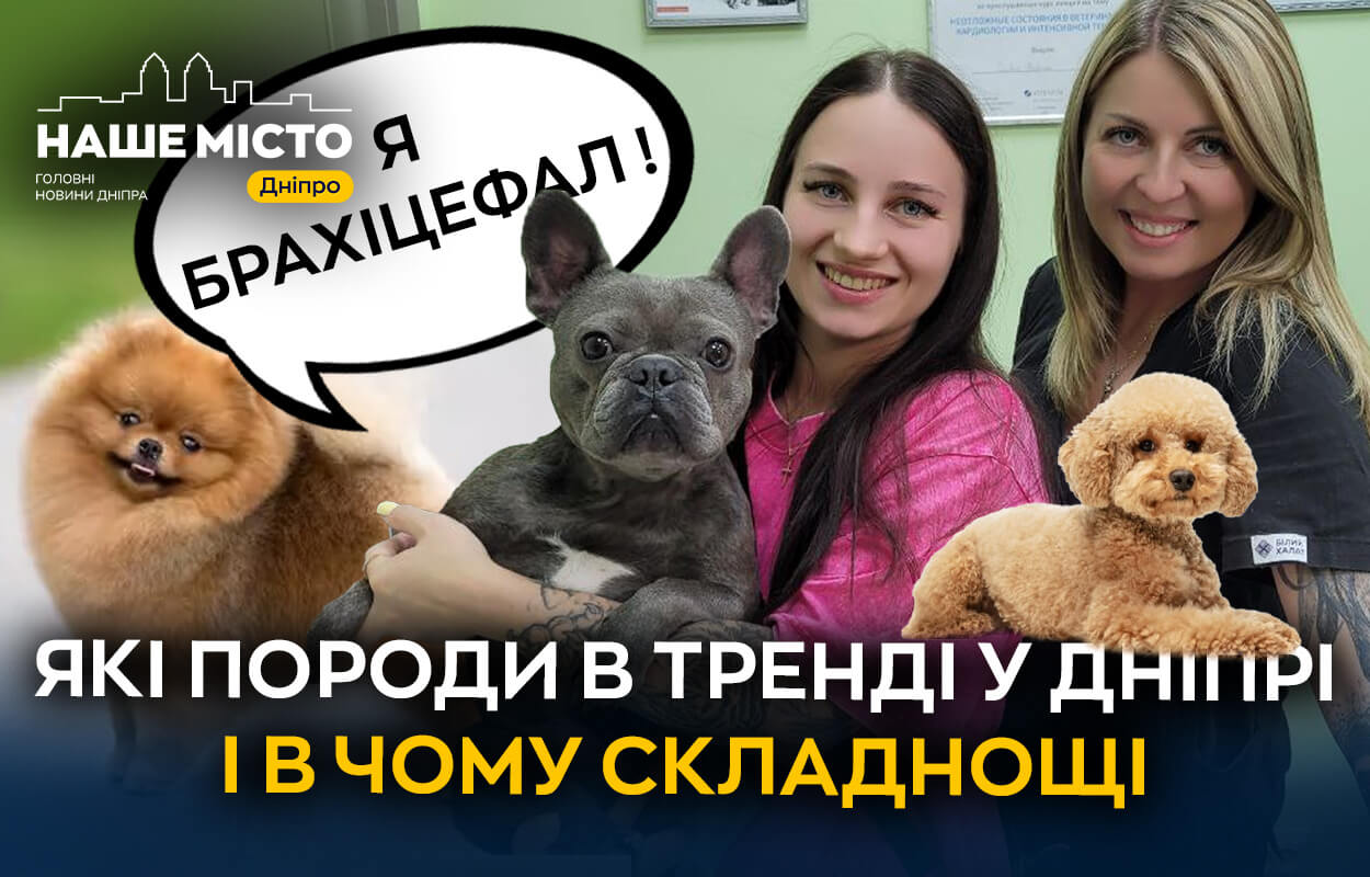 Тренди порід собак у Дніпрі: чому варто заводити чотирилапих з притулку