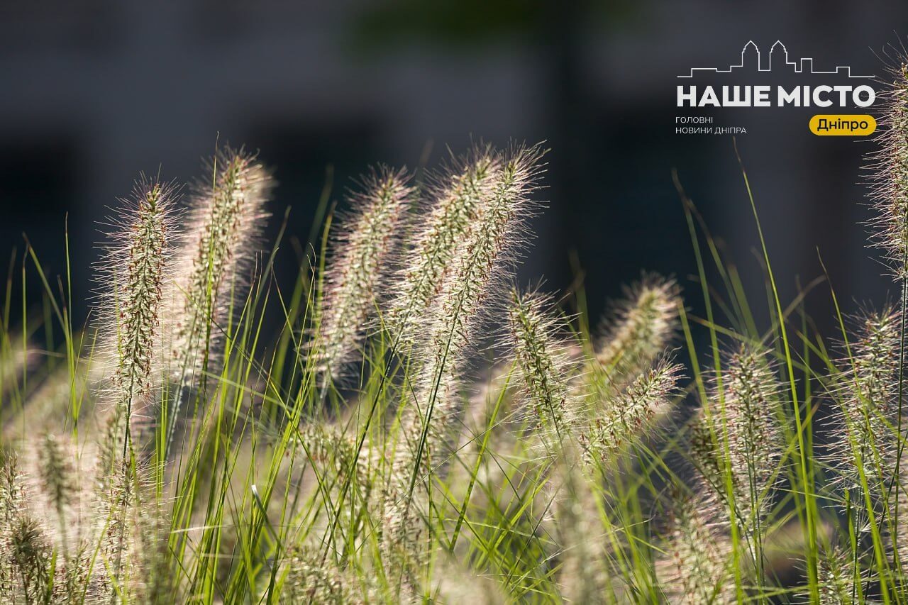 29 серпня – день Усікновення голови Івана Хрестителя: традиції та прикмети