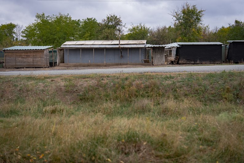 Перевірка стану притулку для тварин під Дніпром