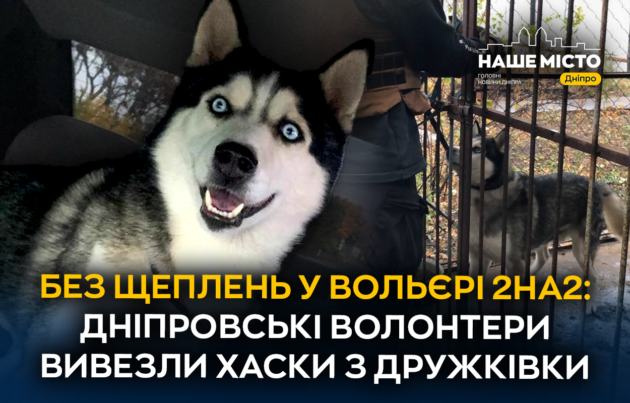 Хаски із Дружківки евакуйовані: діяльність дніпровських волонтерів