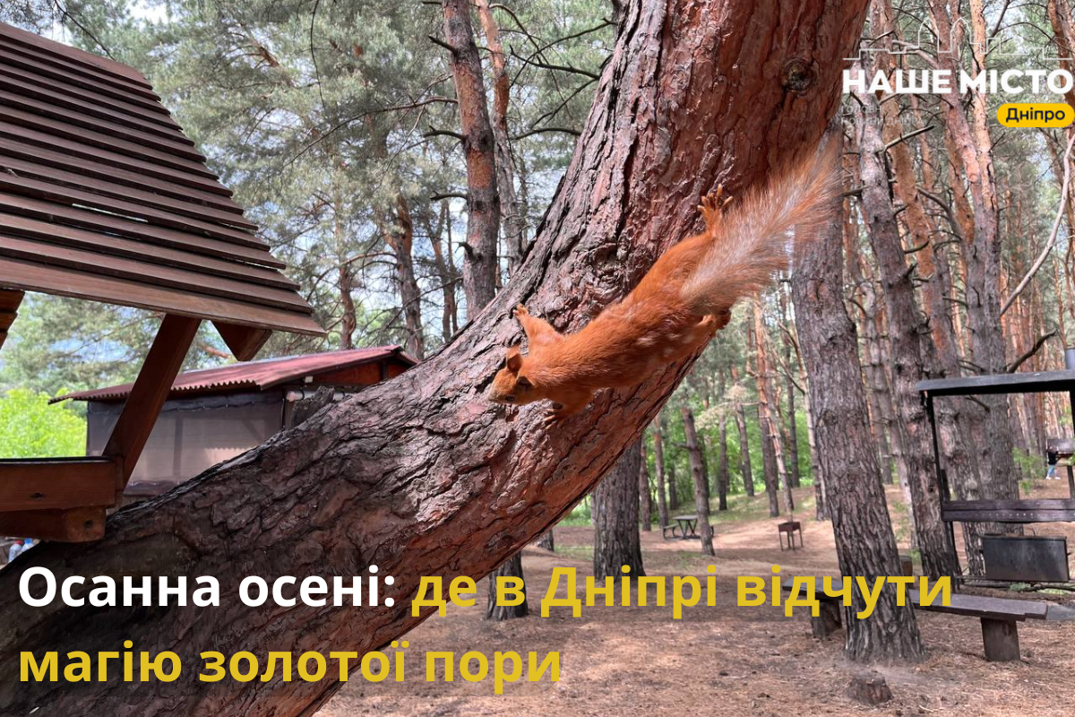 Осінь у Дніпрі: Куди піти та що відчути?