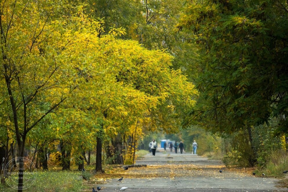 Останній день жовтня у Дніпрі: дощі та тепло