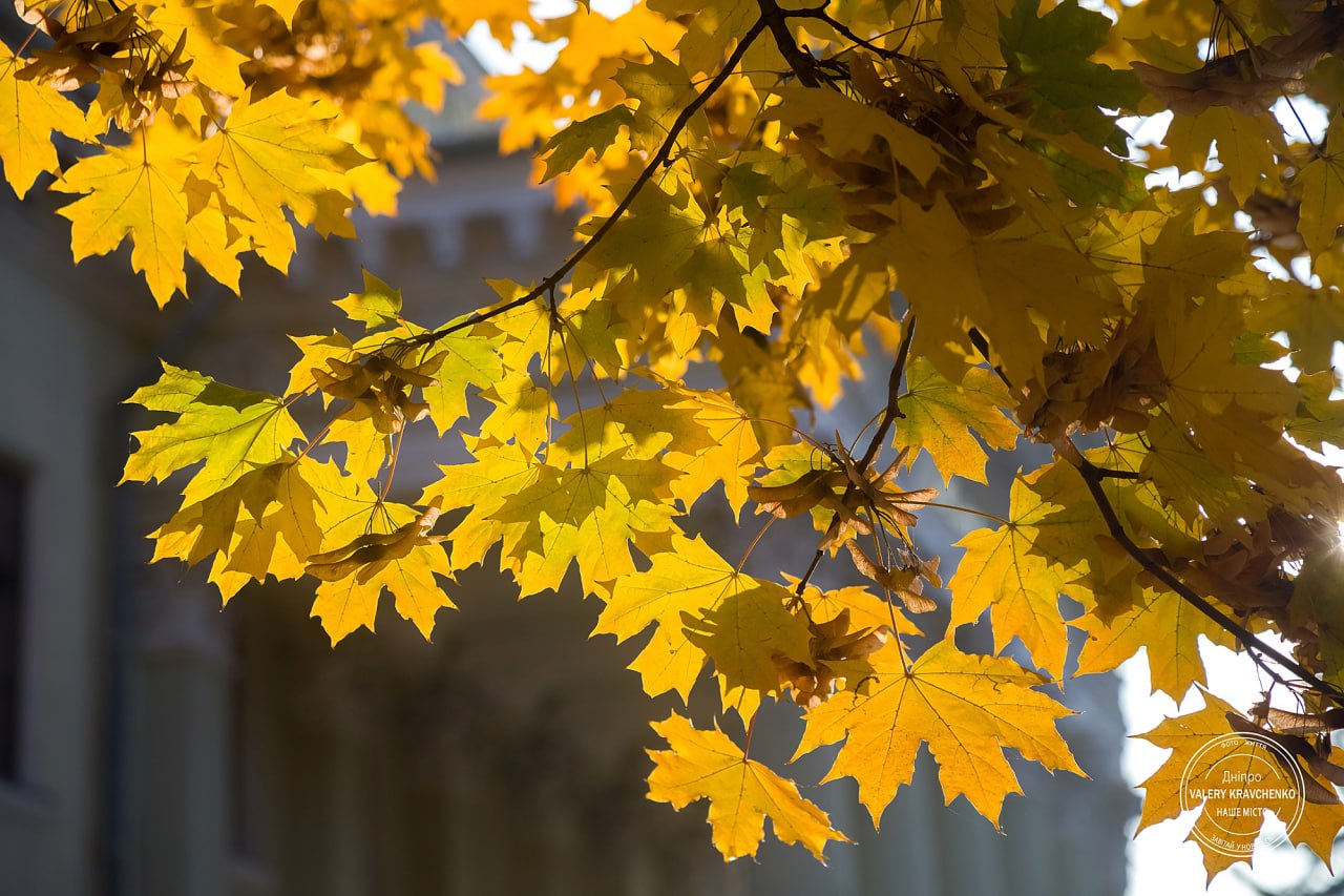 31 жовтня: народні прикмети та заборони