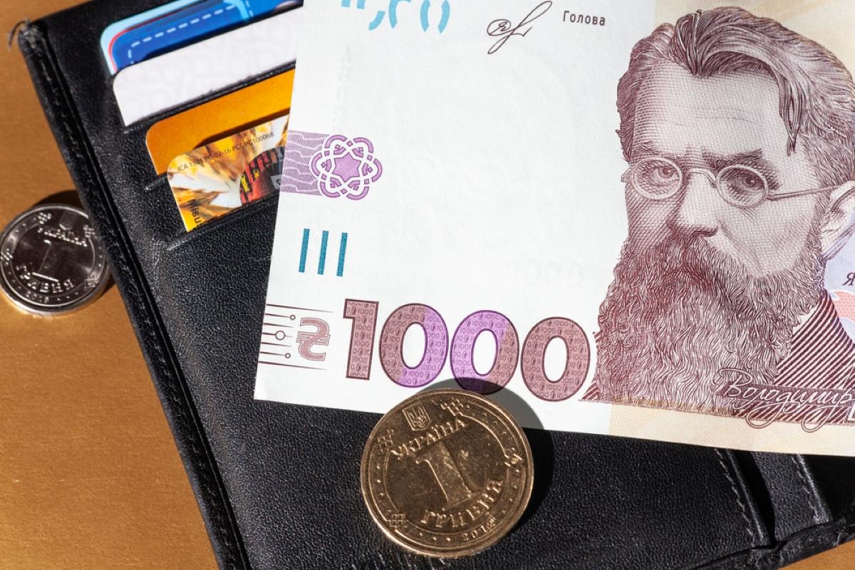 Програма «Національний кешбек» може припинити діяльність раніше терміну