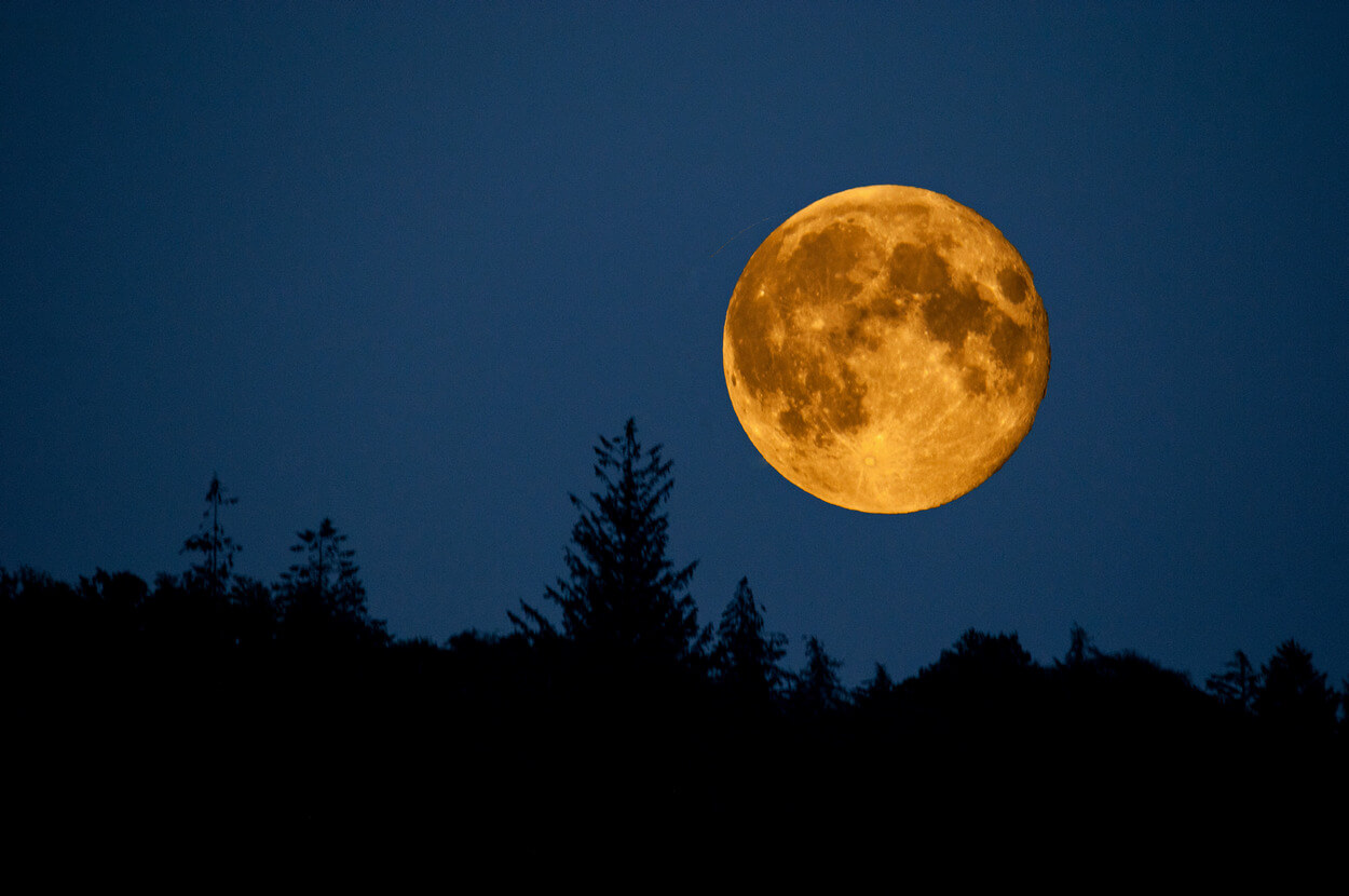 Найбільший супермісяць за останні шість років освітить небо над Україною